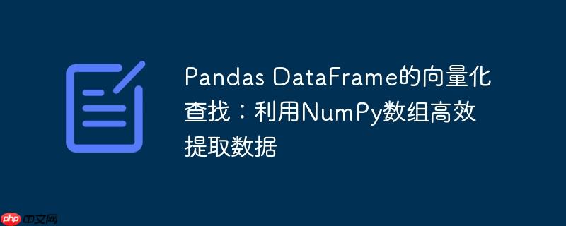 Pandas DataFrame的向量化查找:利用NumPy数组高效提取数据