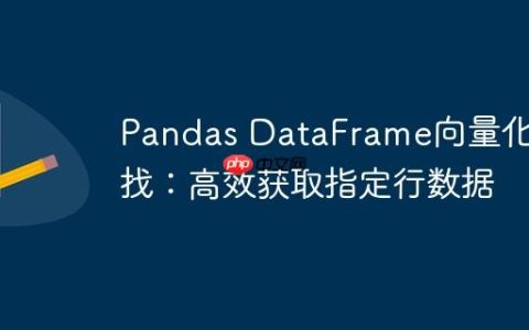 Pandas DataFrame向量化查找：高效获取指定行数据
