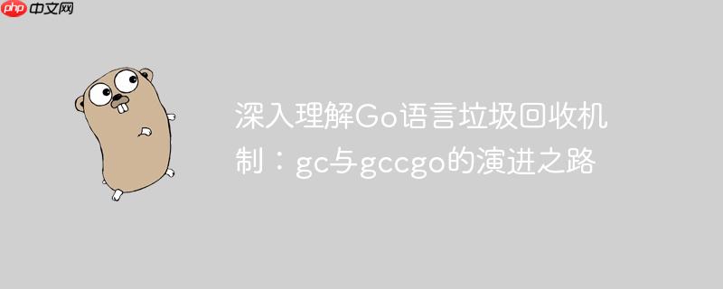 深入理解Go语言垃圾回收机制:gc与gccgo的演进之路