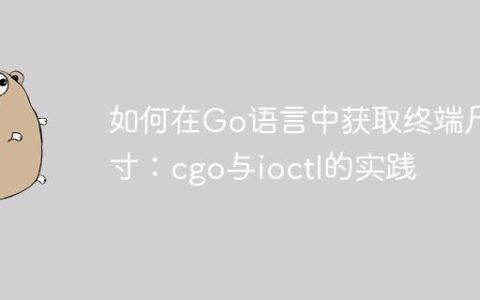如何在Go语言中获取终端尺寸：cgo与ioctl的实践