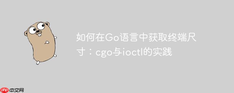 如何在go语言中获取终端尺寸:cgo与ioctl的实践