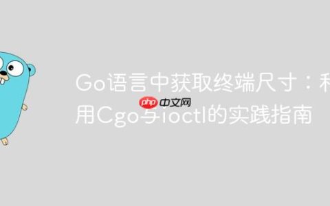 Go语言中获取终端尺寸：利用Cgo与ioctl的实践指南