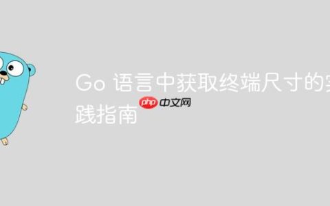 Go 语言中获取终端尺寸的实践指南