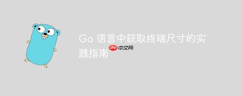 Go 语言中获取终端尺寸的实践指南