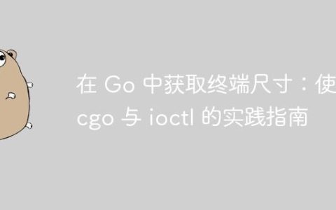 在 Go 中获取终端尺寸：使用 cgo 与 ioctl 的实践指南