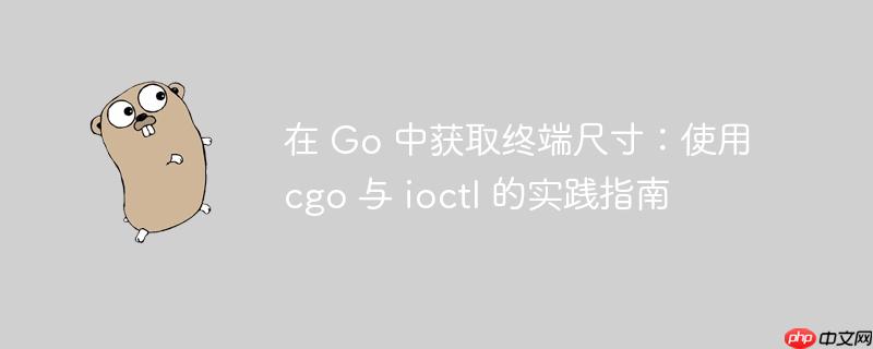 在 Go 中获取终端尺寸:使用 cgo 与 ioctl 的实践指南