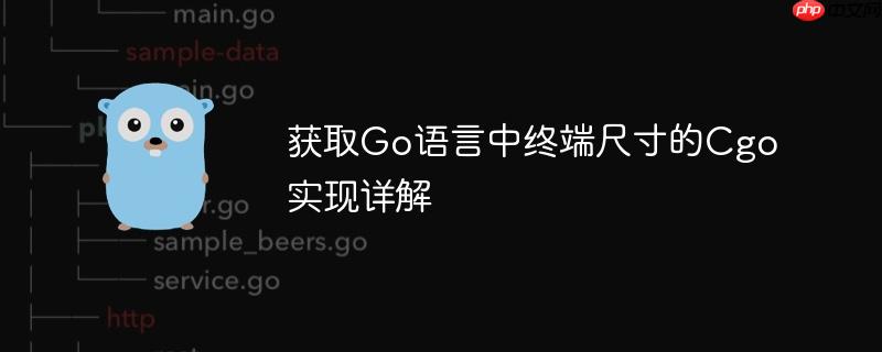 获取Go语言中终端尺寸的Cgo实现详解