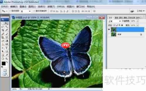 PS拼缀图特效：影像案例分析与技巧分享