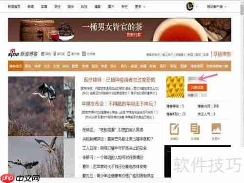 新手上路:如何在新浪网博客发布博文