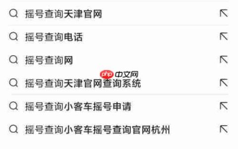 最新汽车摇号结果公布，快来看看你中签了吗？