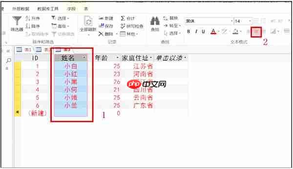 access2013怎么更改字体?access2013更改字体的操作步骤