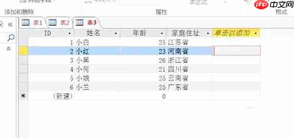 access2013怎么更改字体?access2013更改字体的操作步骤