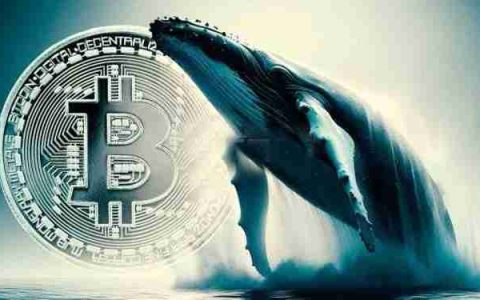 AI姨独家：8011万美金BTC空单背后 或藏华尔街对冲基金操作模式