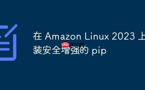 在 Amazon Linux 2023 上安装安全增强的 pip