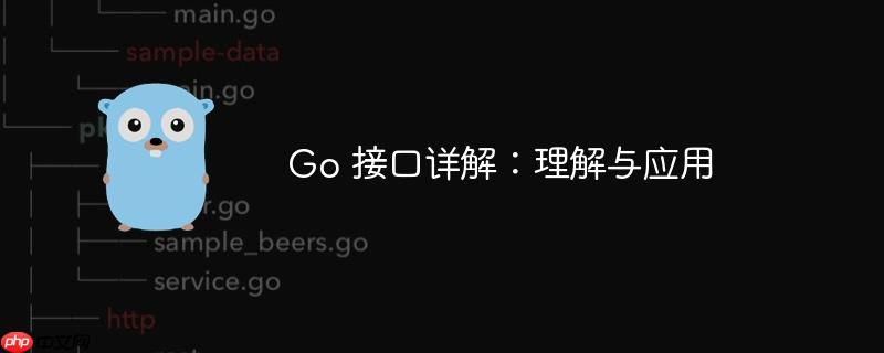 go 接口详解:理解与应用