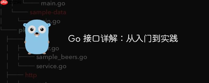 go 接口详解:从入门到实践