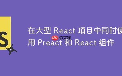 在大型 React 项目中同时使用 Preact 和 React 组件