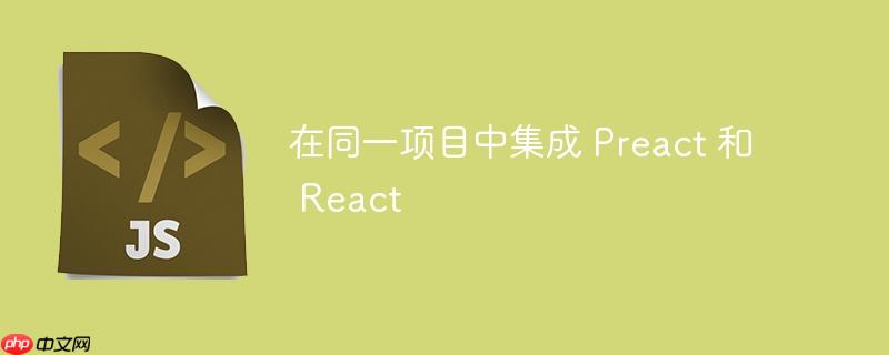 在同一项目中集成 preact 和 react