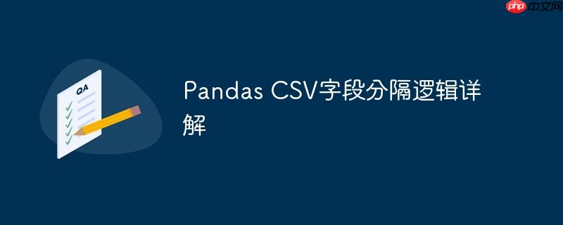 pandas csv字段分隔逻辑详解