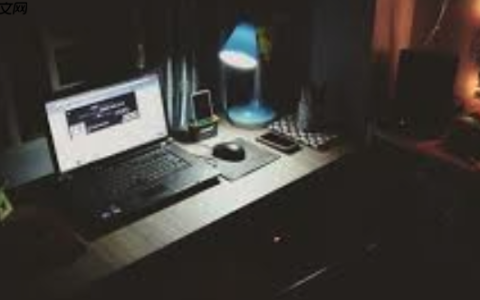 Snipaste如何进行低帧率适配截图​