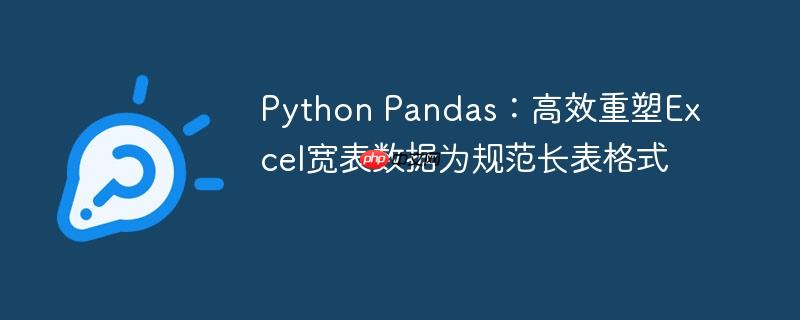 Python Pandas:高效重塑Excel宽表数据为规范长表格式