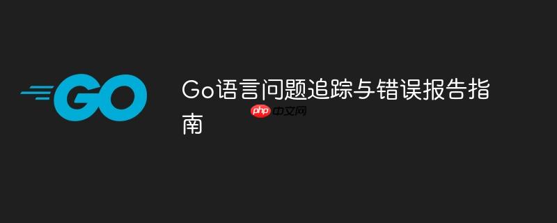 Go语言问题追踪与错误报告指南