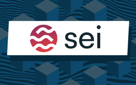 Sei Network的总锁定价值飙升，关注价格突破：深度解析