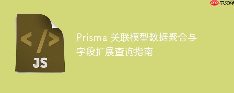 Prisma 关联模型数据聚合与字段扩展查询指南