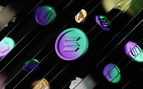 Bonk、Pumpfun 和 Solana 模因币：一个新时代？