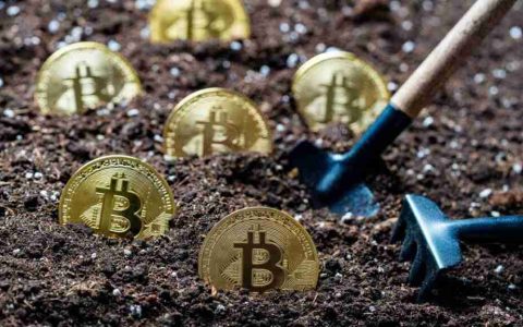 比特币、Robinhood、Coinbase：2025年加密货币格局的应对之道
