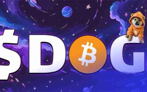 Dog go to the moon 是什么？比特币上的头号 Meme 币