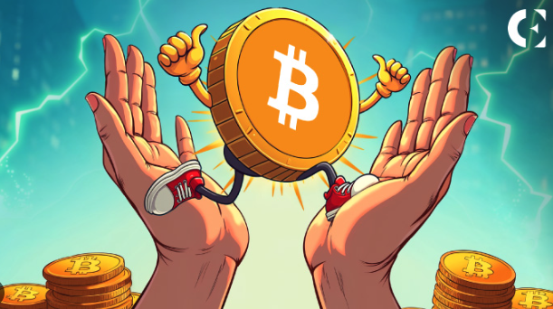 BTC价格趋势分析:未来(2026年-2030年)涨跌看什么指标? - 创想鸟