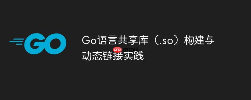 Go语言共享库（.so）构建与动态链接实践