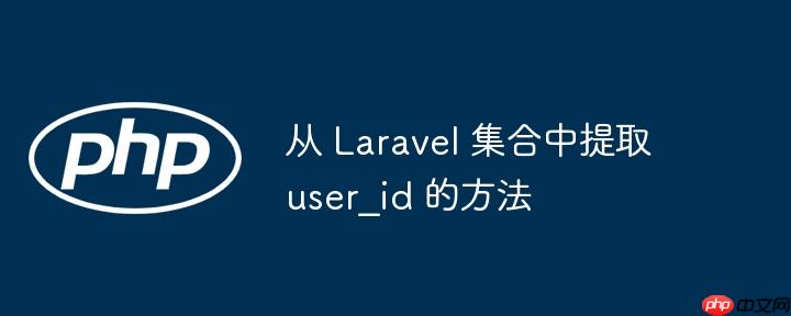 从 laravel 集合中提取 user_id 的方法