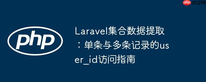 Laravel集合数据提取:单条与多条记录的user_id访问指南