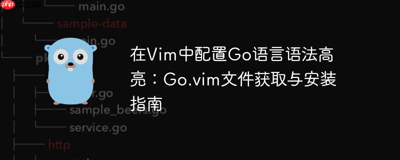 在vim中配置go语言语法高亮:go.vim文件获取与安装指南