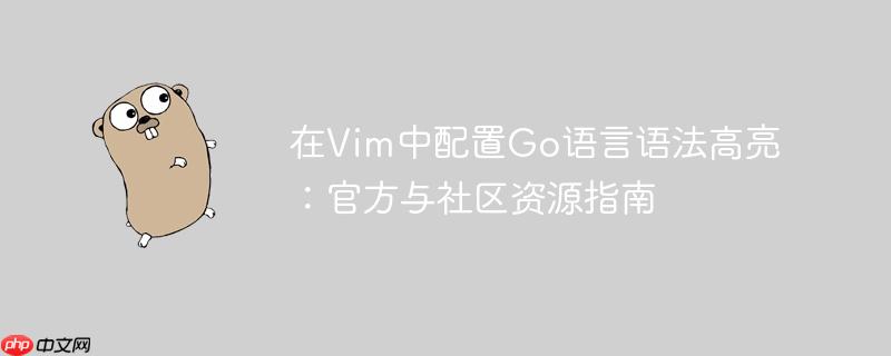 在vim中配置go语言语法高亮：官方与社区资源指南