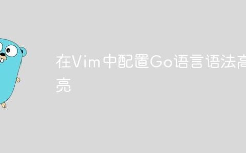 在Vim中配置Go语言语法高亮