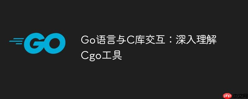 Go语言与C库交互:深入理解Cgo工具