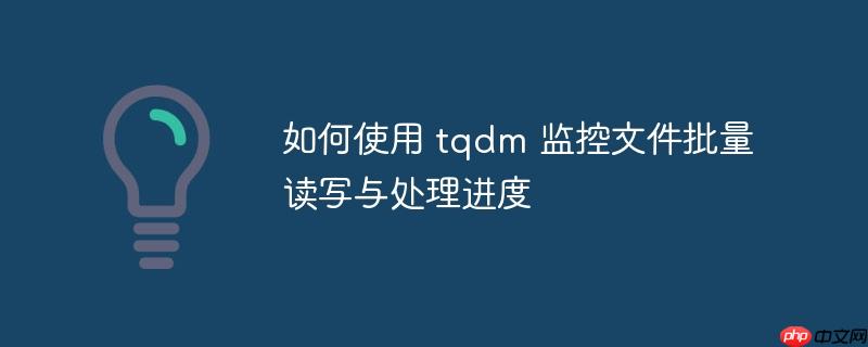 如何使用 tqdm 监控文件批量读写与处理进度