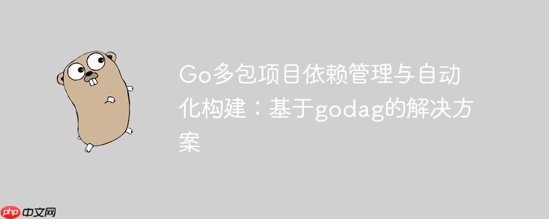 Go多包项目依赖管理与自动化构建:基于godag的解决方案
