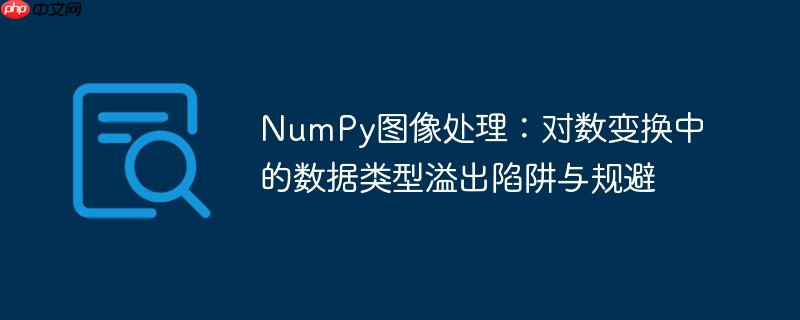 NumPy图像处理:对数变换中的数据类型溢出陷阱与规避