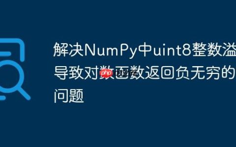 解决NumPy中uint8整数溢出导致对数函数返回负无穷的问题