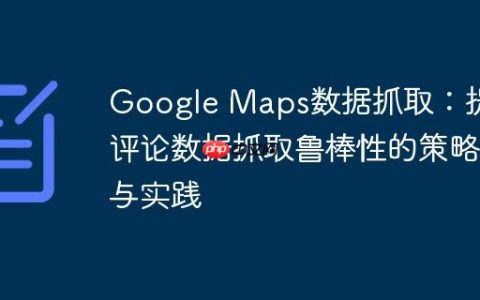 Google Maps数据抓取：提升评论数据抓取鲁棒性的策略与实践