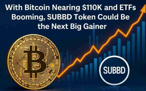 比特币、SUBBD代币与华尔街：探索加密货币的十字路口