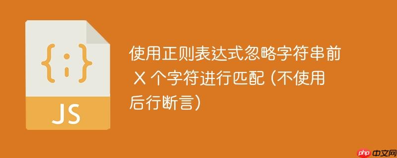 使用正则表达式忽略字符串前 x 个字符进行匹配 (不使用后行断言)