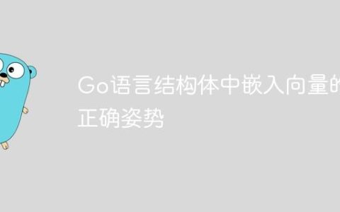 Go语言结构体中嵌入向量的正确姿势