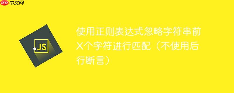 使用正则表达式忽略字符串前x个字符进行匹配(不使用后行断言)
