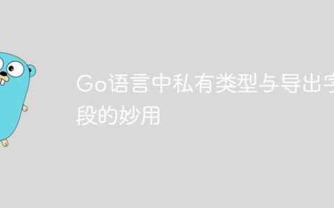 Go语言中私有类型与导出字段的妙用