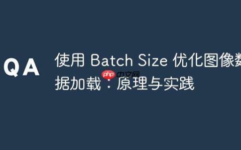 使用 Batch Size 优化图像数据加载：原理与实践